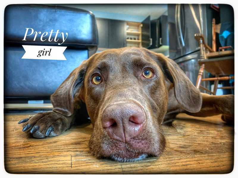 Pretty Girl by Jodie Dunbar